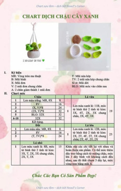 Chart móc chậu cây sen đá