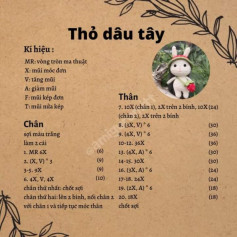 Chart móc thỏ dâu tây.