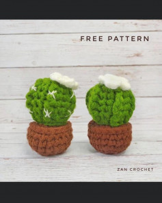 Cactus crochet pattern with white flowers
