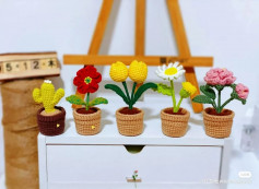 Crochet pattern with flowers, cactus,