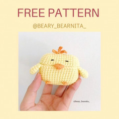 chicken case free pattern