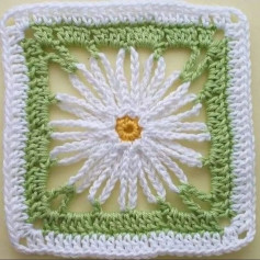 free crochet pattern square with white border and blue border.chrysanthemum pattern.