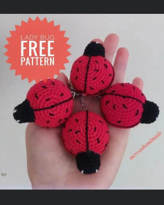 lady bug red, black head, white eyes free crochet pattern