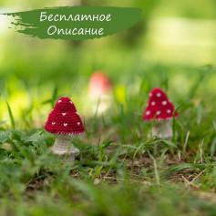 red cap mushrooms, white dots.white body.