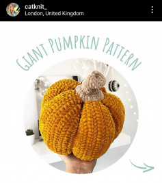giant pumpkin pattern
