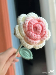 roses with white petals, pink petals, crochet pattern