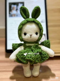 White rabbit wearing green crochet pattern dress
