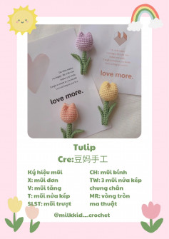 chart móc hoa tulip màu vàng, màu hồng, màu tím