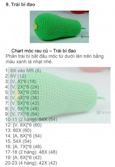 chart móc trái bí đao