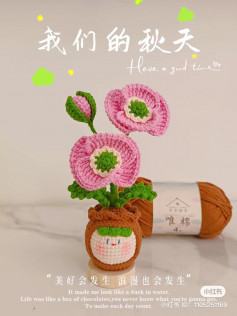 crochet pattern for dumplings and poppy flowers