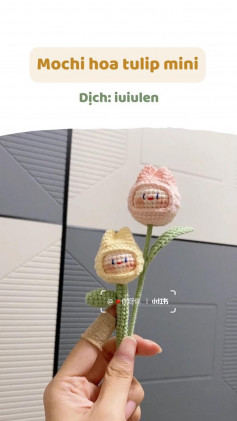mochi hoa tulip mini
