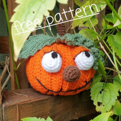 FREE PATTERN 👉 SWIPE 🧡 Morning everyone , well autumn is definitely on its way, and pumpkin season is here