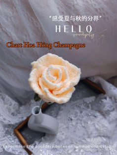 Hướng dẫn móc hoa hồng champagne