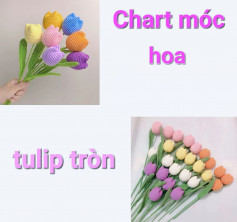 Chart móc hoa tulip tròn