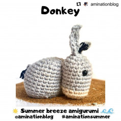donkey summer breeze amigurunmi