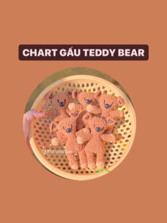chart gấu teddy bear