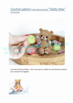 Crochet pattern with photo tutorial “Teddy Max”