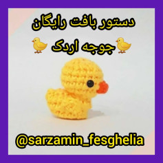 دستور بافت اردک