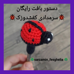 🐞دستور بافت سرمدادی کفشدوزک🐞