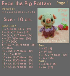 evan the pig pattern