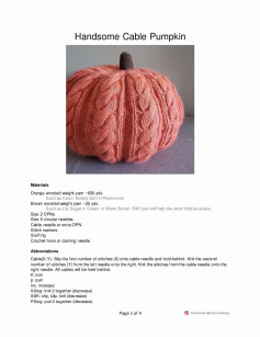 Handsome Cable Pumpkin Materials Orange worsted