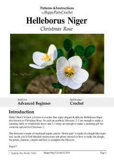 Helleborus Niger Christmas Rose flower