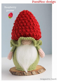 Raspberry gnome