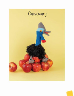 Cassowary crochet pattern