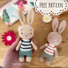 Crochet pattern for a rabbit wearing a shirt