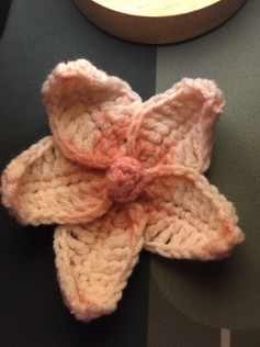 Five-petal flower crochet pattern 🌸Pattern from mahum🎀 #crochet #fyp #crochettutorial