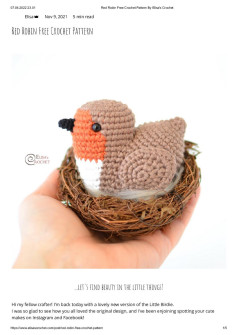 Elisa Red Robin Free Crochet little birdie