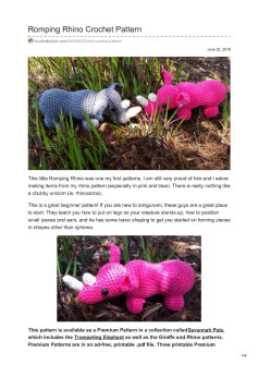 Romping Rhino Crochet Pattern