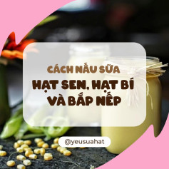 Cách nấu sữa hạt sen hạt bí và bắp nếp