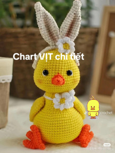 Chart vịt vàng đeo tai thỏ