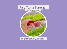 free turtle pattern, crochet turtle with red shell pattern