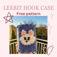 leebit hook case free pattern