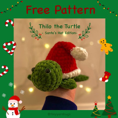 Meet Thilo the turtle in the Santa hat edition