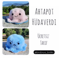 Mutlu mutsuz ahtapot 🐙 #moodahtapot