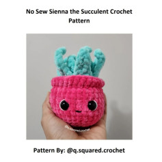 no sew sienna the succulent crochet pattern