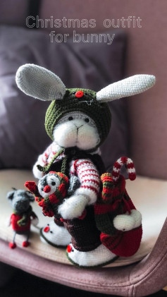 Christmas outfit for bunny