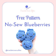 free pattern no sew blueberries