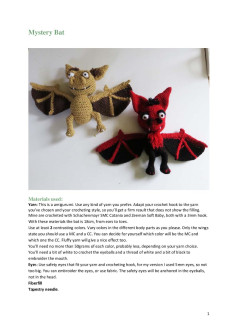 Mystery Bat crochet pattern