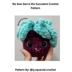 no sew siarra the succulent crochet pattern