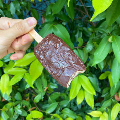 🌸 VEGAN ICE CREAM BARS!