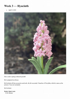 Week 3 — Hyacinth flower