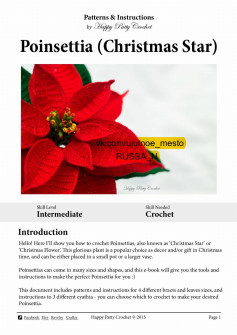 ponsettia christmas star