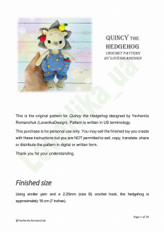 Quincy The HEDGEHOG Crochet pattern