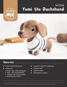 Yumi the Dachshund dog