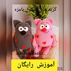 این شما و اینم گربه های خنگول بامزه 😍😍😍😍😍😍😍😍😍😍😍😍😍😍دستور بافت از کانال تل..