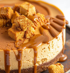 Biscoff Cheesecake 🤤